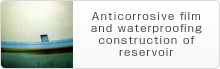 Anticorrosive film and waterproofing construction of reservoir