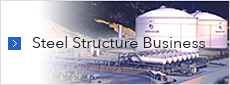 Steel Structure Business