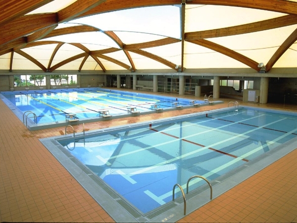 Swimming pool (stainless steel)